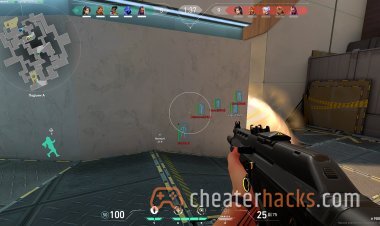 Vision: Valorant Aimbot & Wallhack