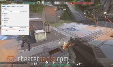 DogProBot: Valorant Cheat