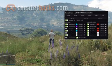 Revolware - RageMP External Cheat