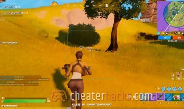 Exotic - Fortnite Soft Aim Cheat