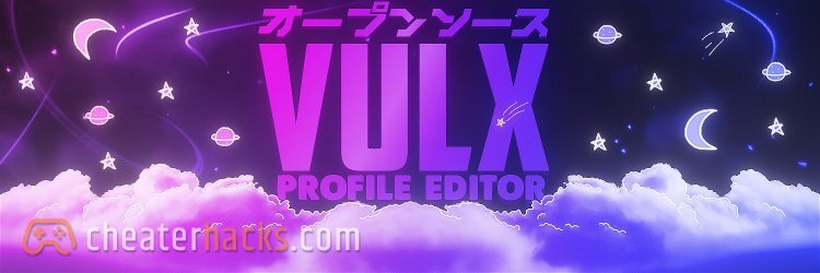 Vulx Project - Valorant Profile Editor